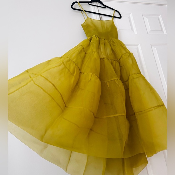 Anthropologie Oh Seven Days Organza Sheer Midi Dress, Size XS - Picture 6 of 13